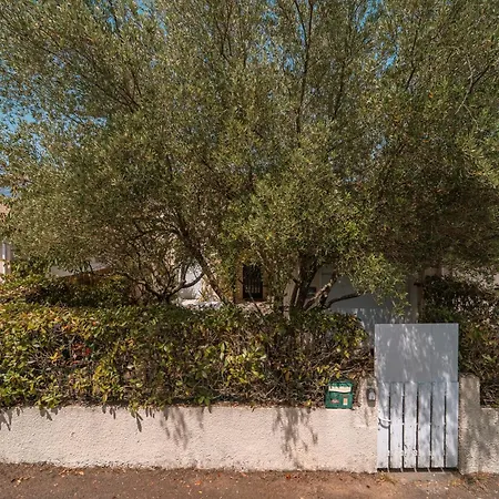Belle Maison Et Jardin A 10 Pers Villa Pessac